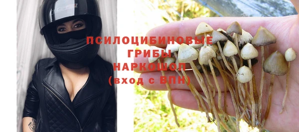 ешки Богданович