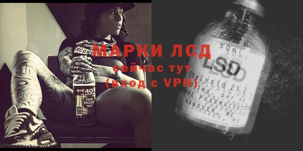 ГАЛЛЮЦИНОГЕННЫЕ ГРИБЫ Богородицк