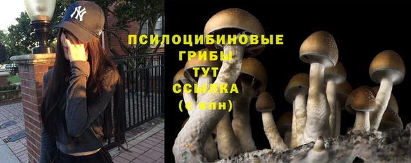 ГАЛЛЮЦИНОГЕННЫЕ ГРИБЫ Богородицк