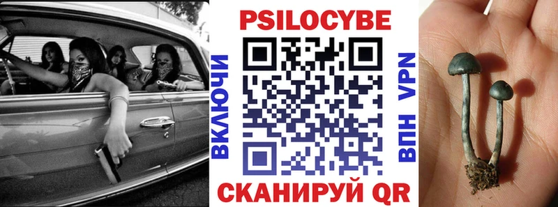 Псилоцибиновые грибы MAGIC MUSHROOMS  купить закладку  hydra зеркало  Мончегорск 